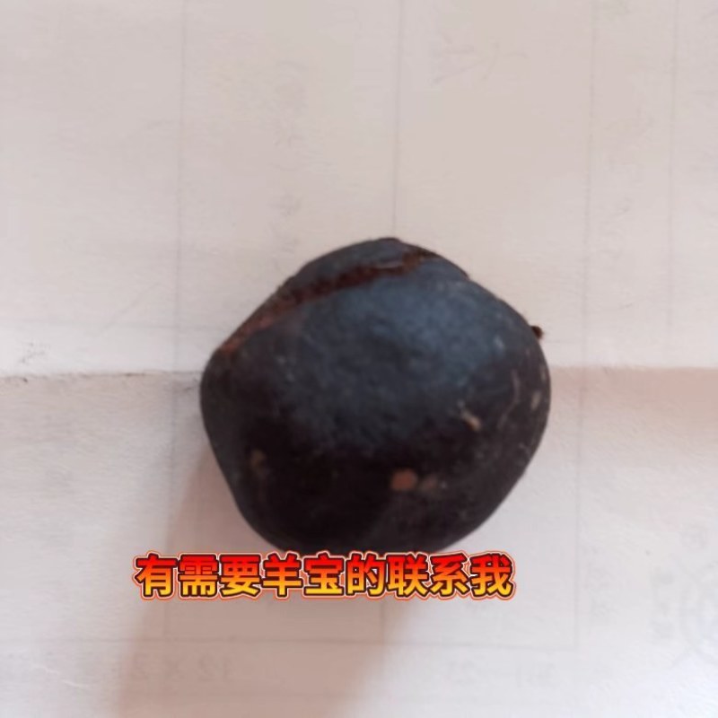 出售羊宝一颗