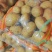 内蒙土豆大量整车发货全国各地