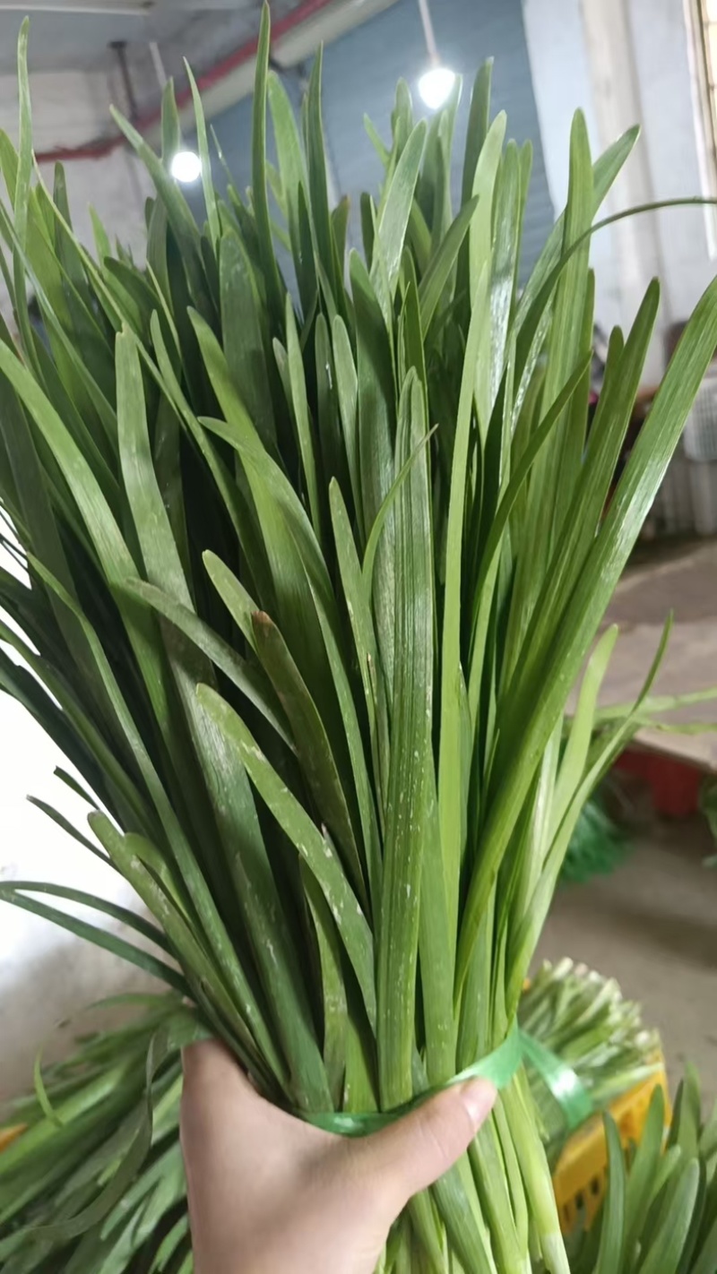 便宜靓