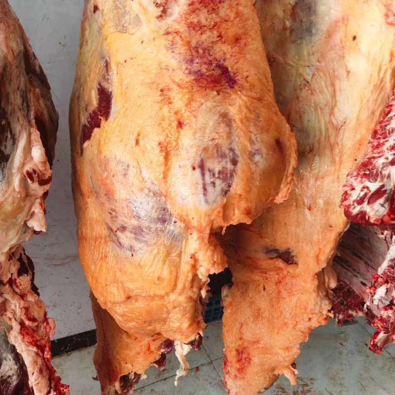 甘肃临夏清真黄牛鲜肉都是好牛肉品质您放心致电有优惠