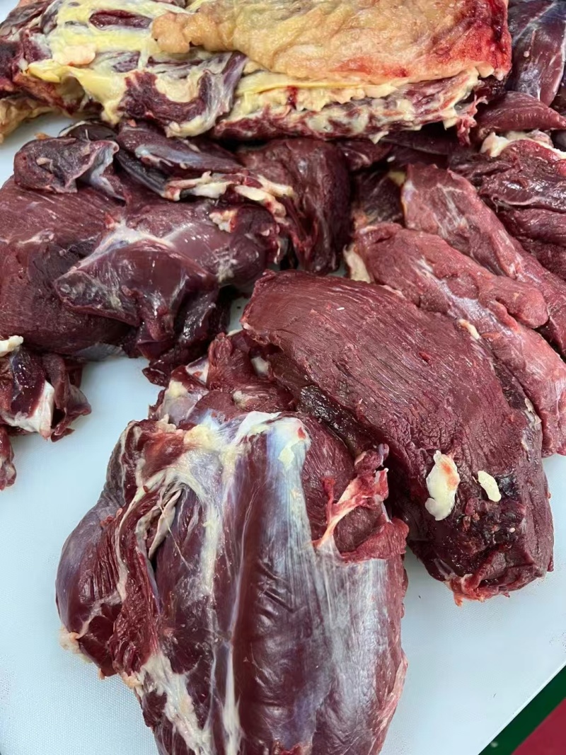 甘肃临夏清真黄牛鲜肉都是好牛肉品质您放心致电有优惠