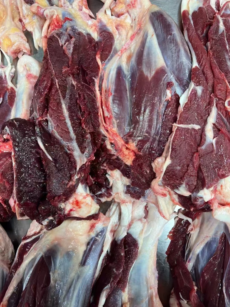 甘肃临夏清真黄牛鲜肉都是好牛肉品质您放心致电有优惠
