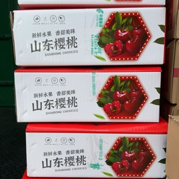 山东暖棚美早樱桃，专业代收，代发，支持一件代发！
