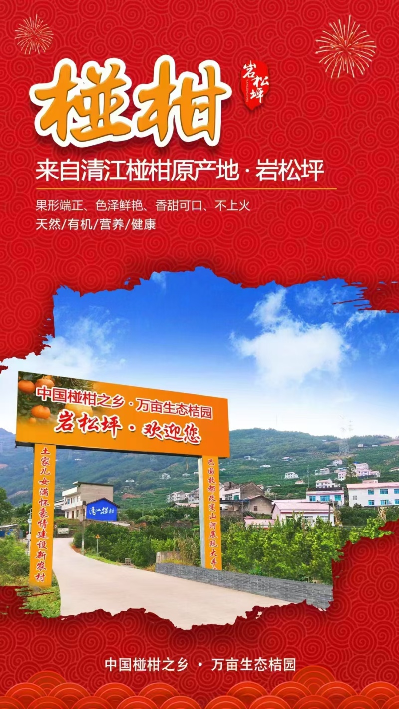 原产地清江椪柑直发一手货源量大价优一件代发