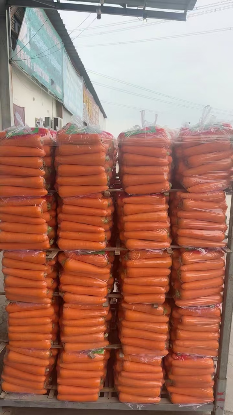 精品水洗和土货胡萝卜，大小包装都可接，常年大量供应