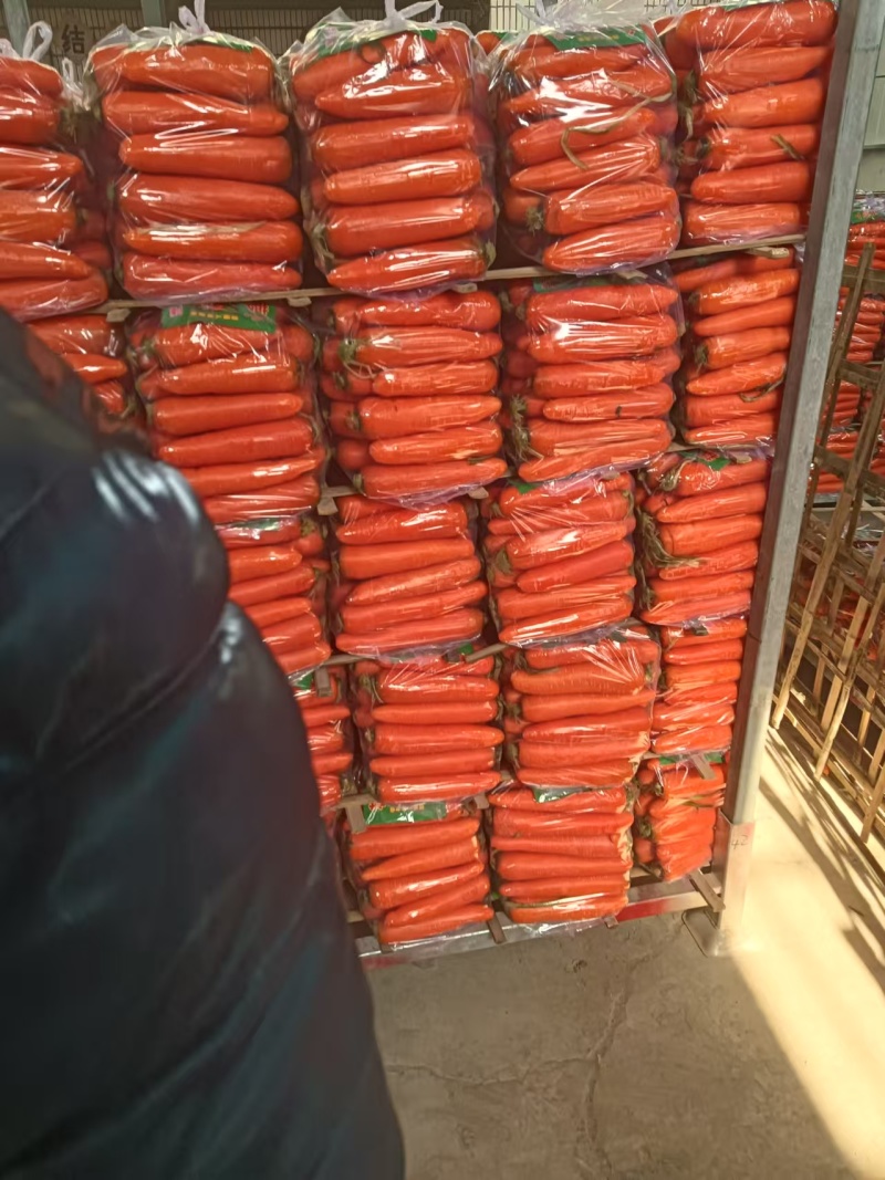 精品水洗和土货胡萝卜，大小包装都可接，常年大量供应