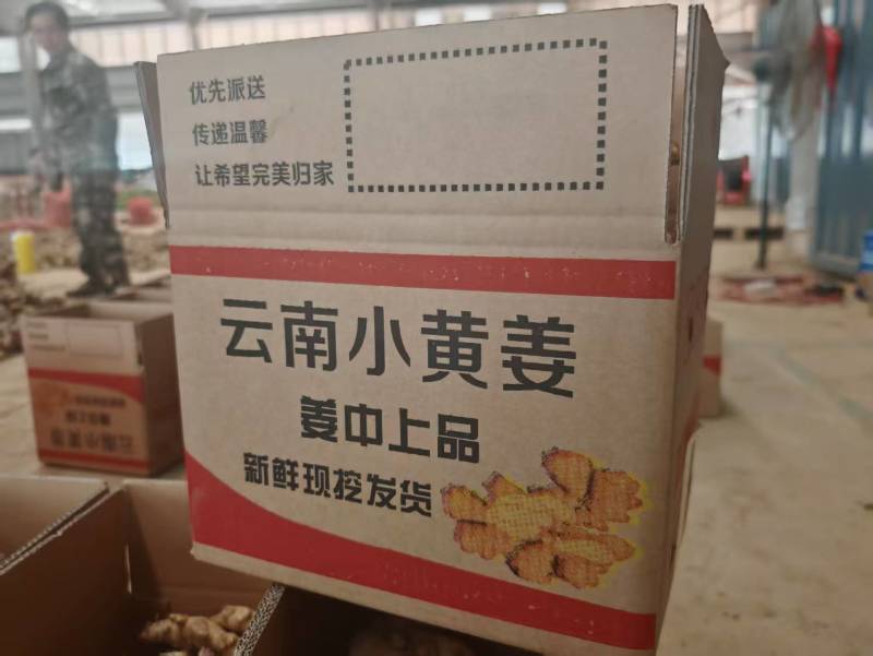 云南小黄姜/精品小黄姜一手货源支持一件代发对接各大