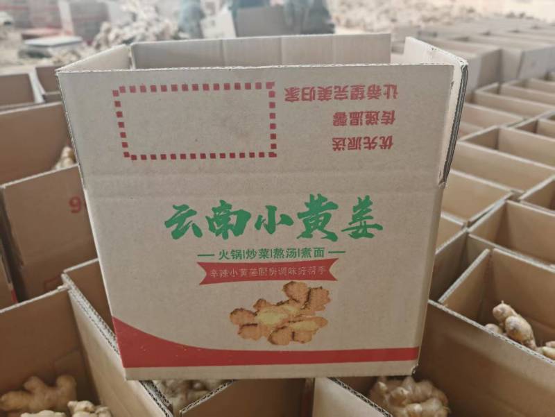云南小黄姜/精品小黄姜一手货源支持一件代发对接各大