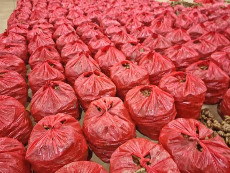 云南小黄姜/精品小黄姜一手货源支持一件代发对接各大