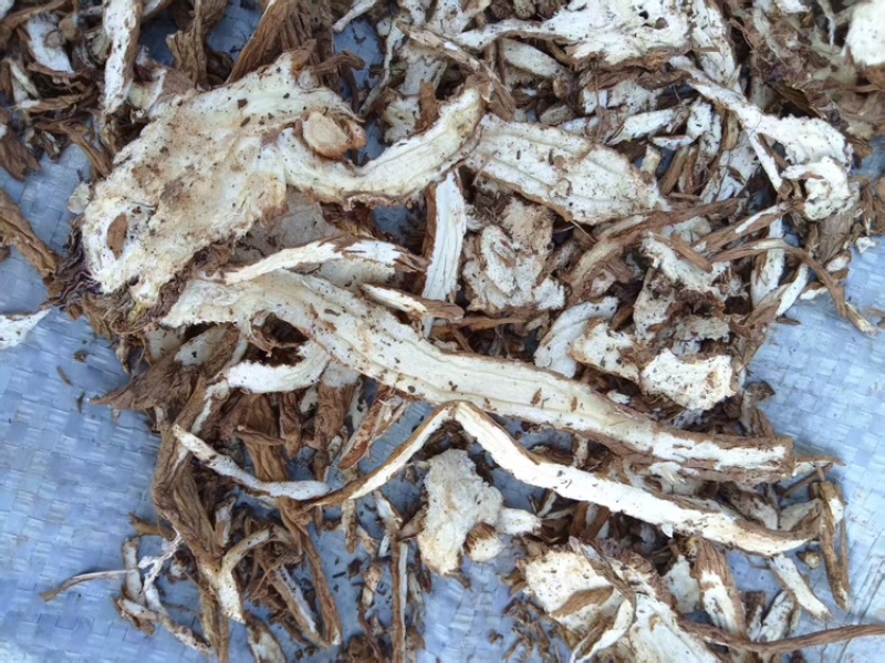 全检当归片厂家直销大量有货欢迎电联