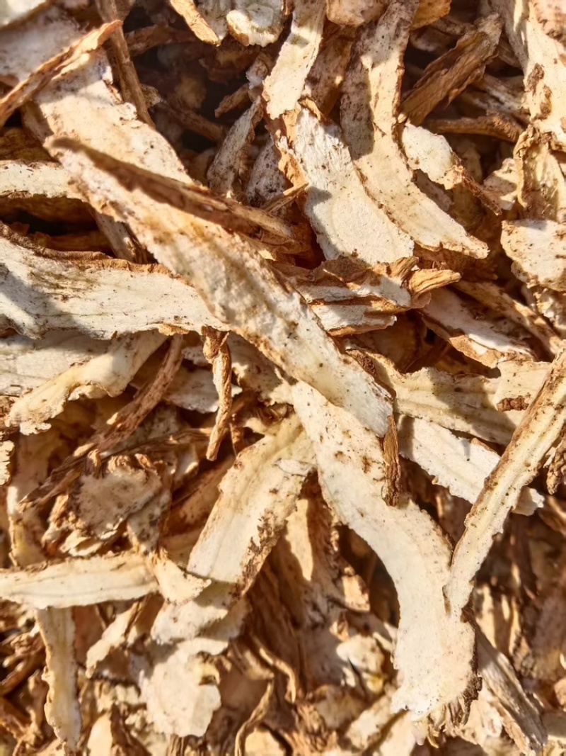 全检当归片厂家直销大量有货欢迎电联