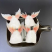 新鲜冷冻鱼翅鱼鳍巴沙鱼刺翅龙利鱼酒店饭店食材带冰