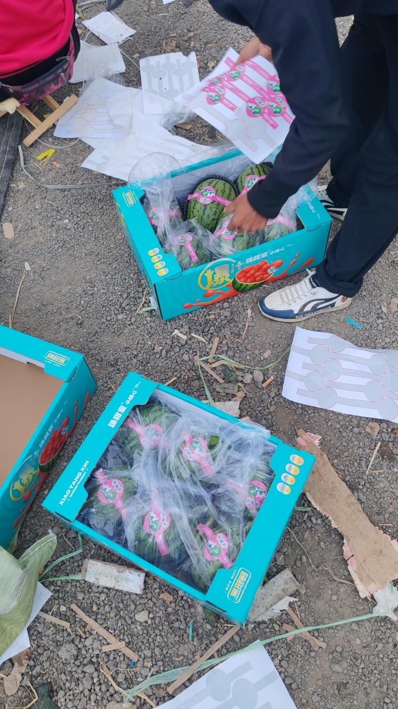 【优选】全美2K小糖丸西瓜对接各大市场电商平台保质保量