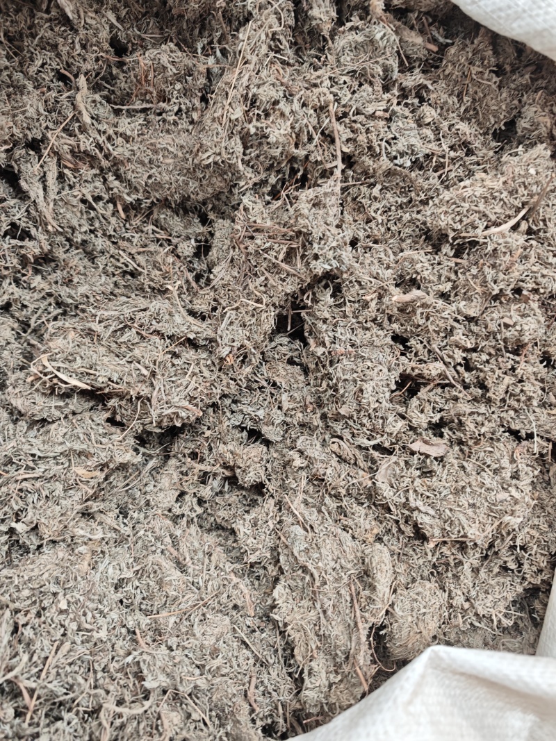 茵陈1公斤整株茵陈野生茵陈无硫绵茵陈中药茵陈个