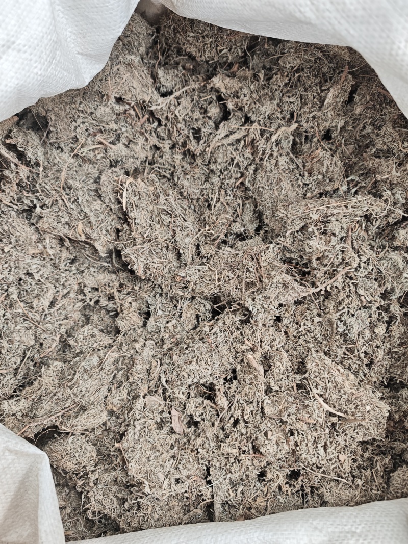 茵陈1公斤整株茵陈野生茵陈无硫绵茵陈中药茵陈个