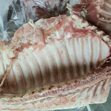肥猪中排