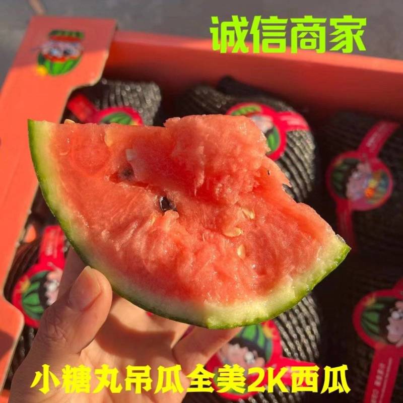 山东潍坊大棚西瓜L600西瓜小糖丸全美西瓜保质保量