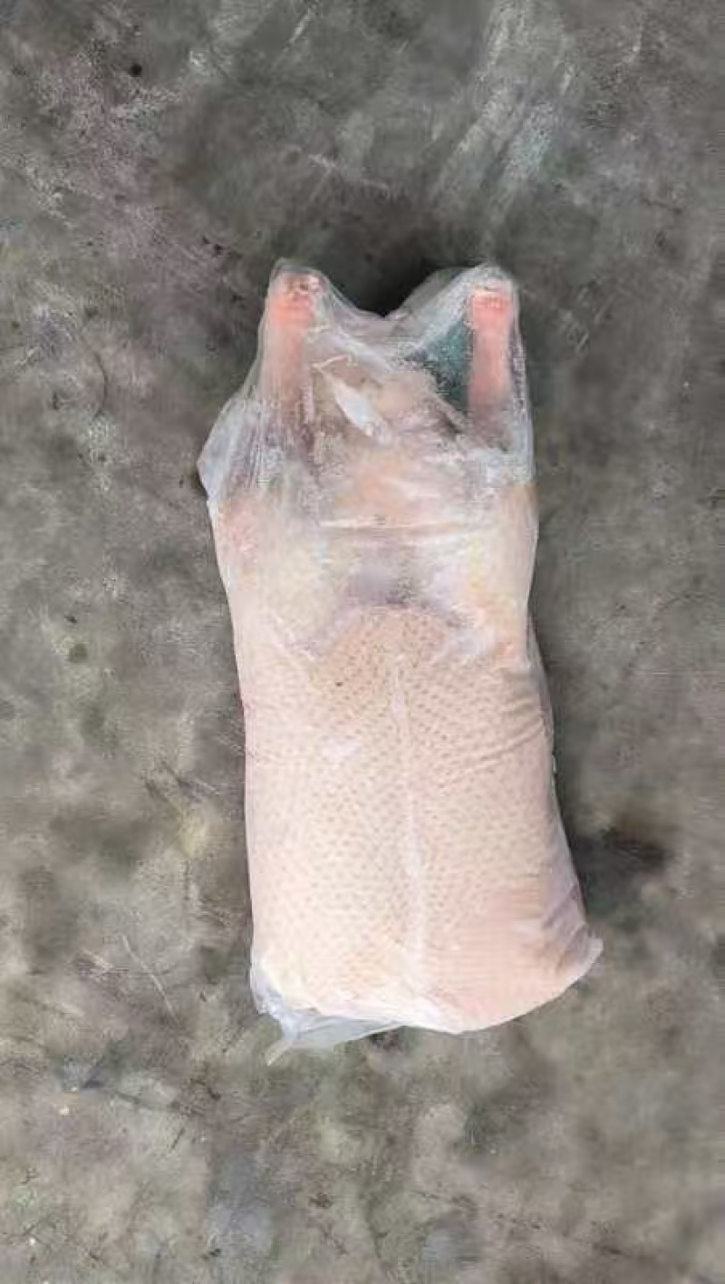 白条鸭1000g-1500g各规格齐全工厂直发