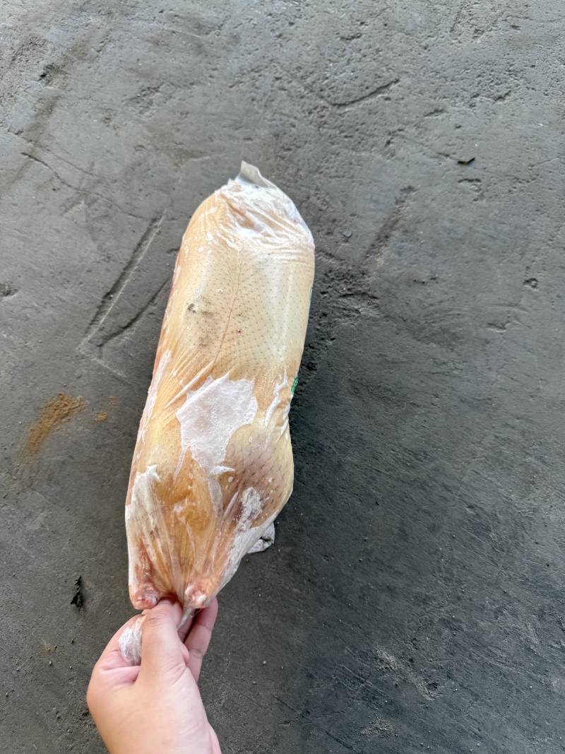 白条鸭1000g-1500g各规格齐全工厂直发