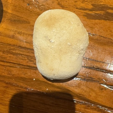 天然狗宝可议价电话***********