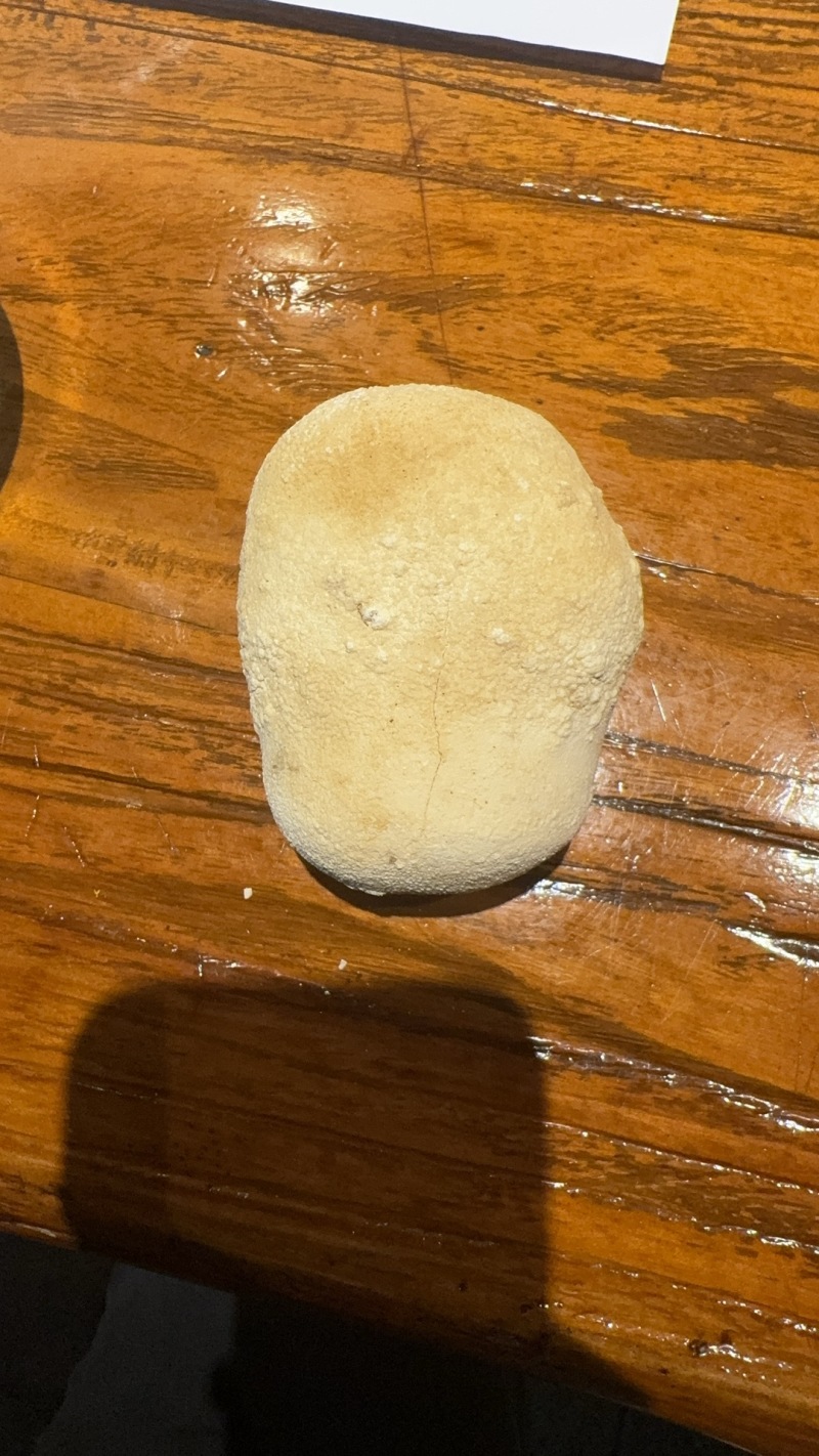 天然狗宝可议价电话***********
