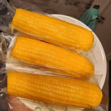 开袋即食真空包装玉米糯玉米一件代发