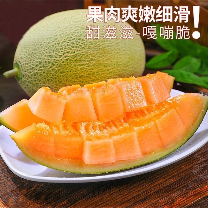 【哈密瓜】晓蜜25哈密瓜甜脆多汁现摘现发新应季水果