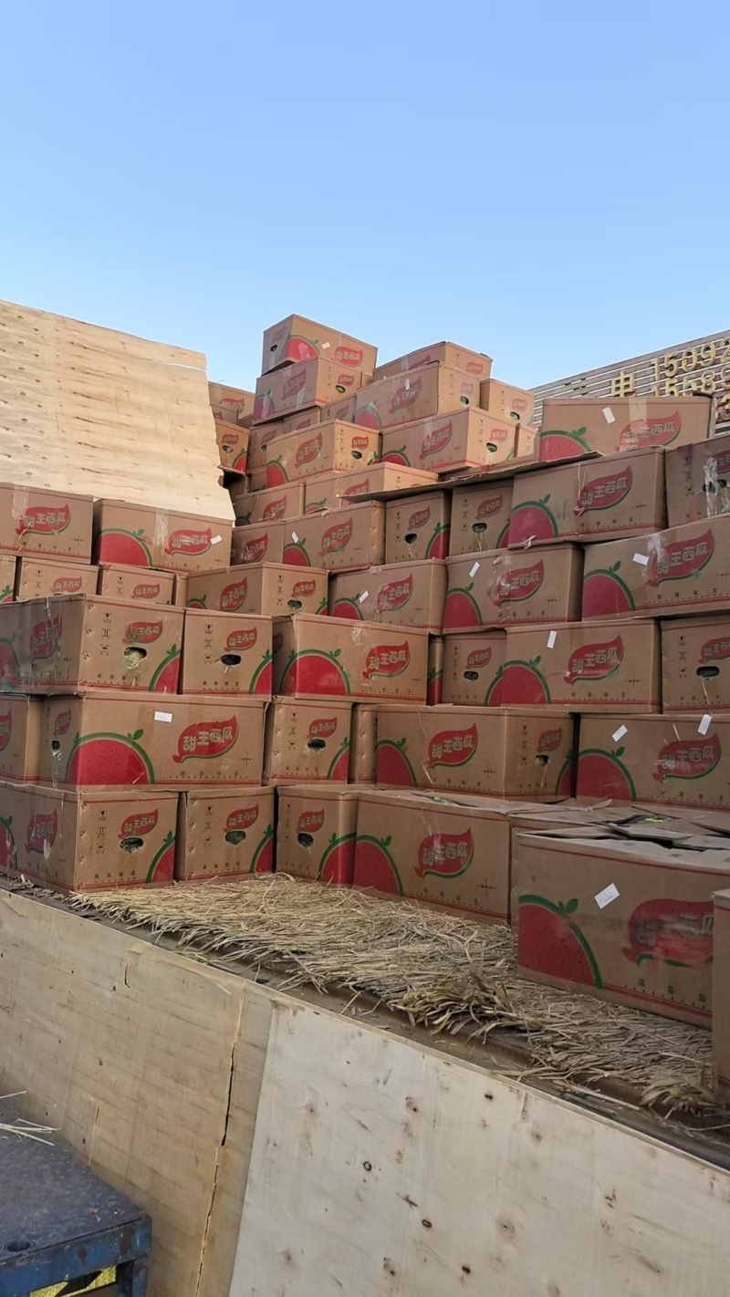 【精选】精品甜王西瓜大量供应品质保证甜度高水分足