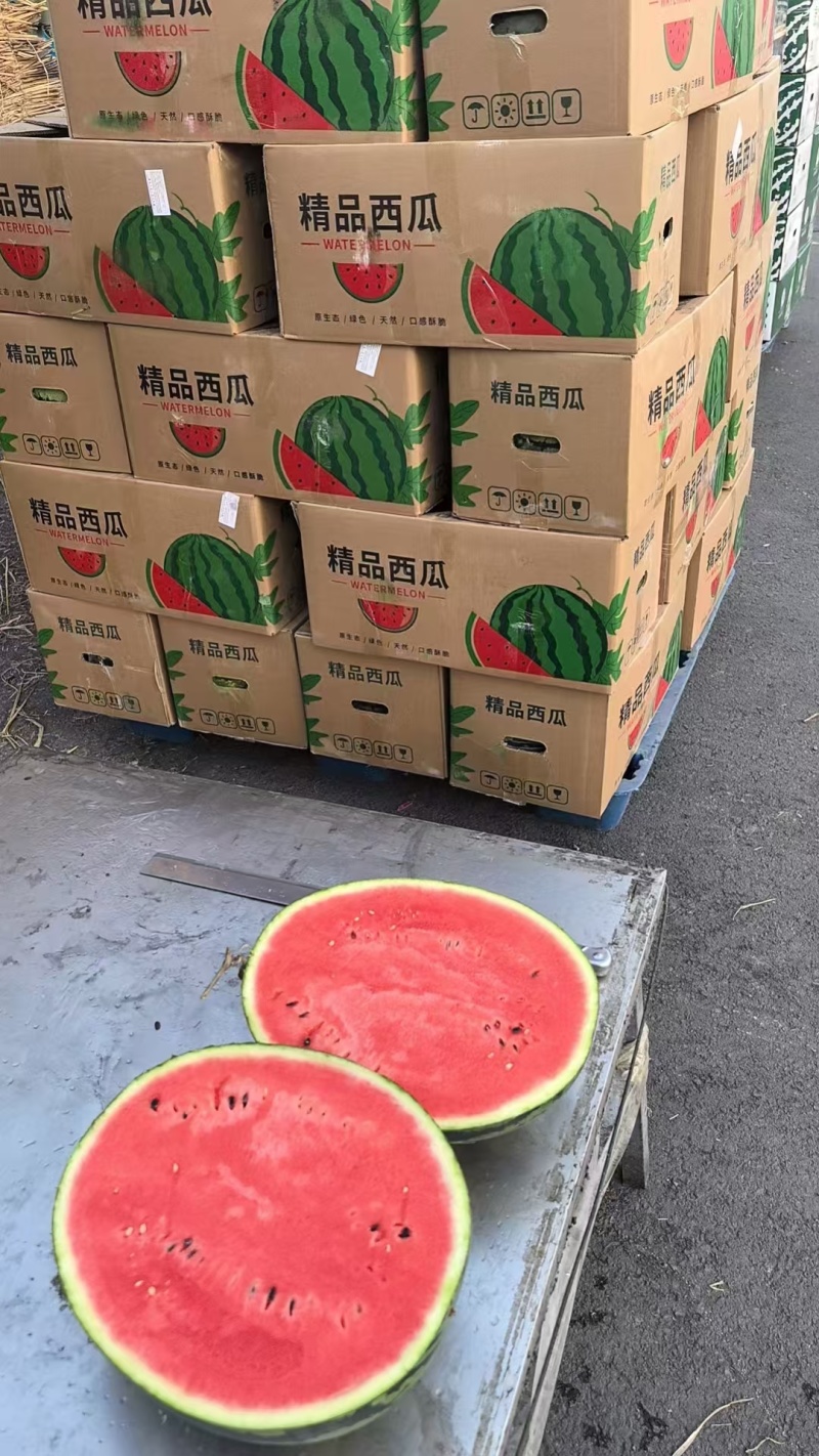 【精选】精品甜王西瓜大量供应品质保证甜度高水分足