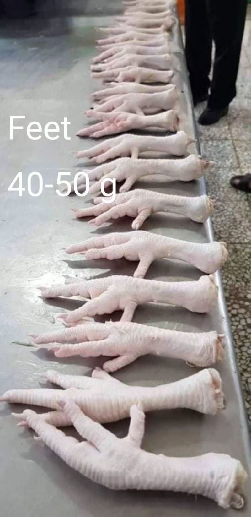进口鸡爪