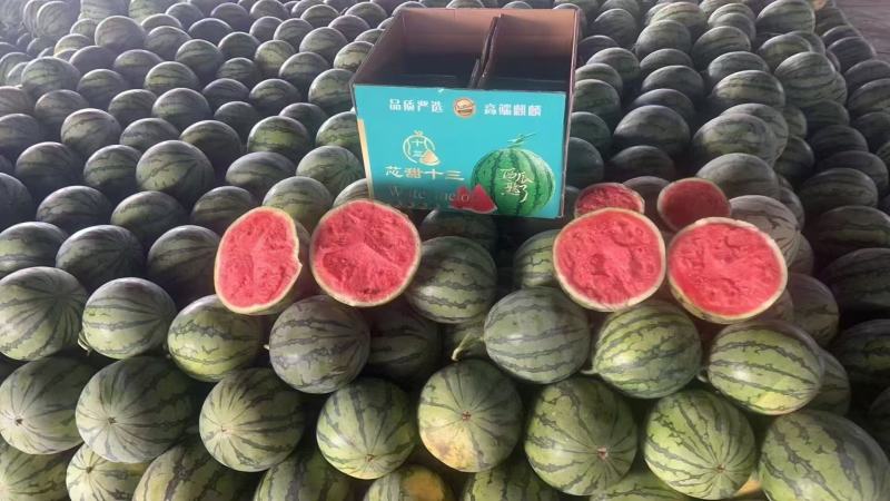 【视频看货】河南西瓜/精品无籽西瓜/美都西瓜/全国发货