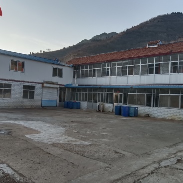 大中小果冻干山楂