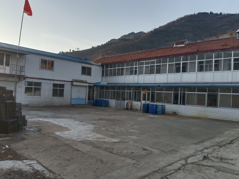 大中小果冻干山楂