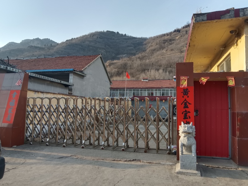 独立包装甘草山楂果脯