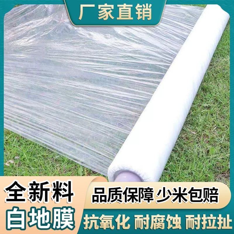 白色地膜厂家直销抗氧化耐腐蚀保温保湿寿命长量大从优