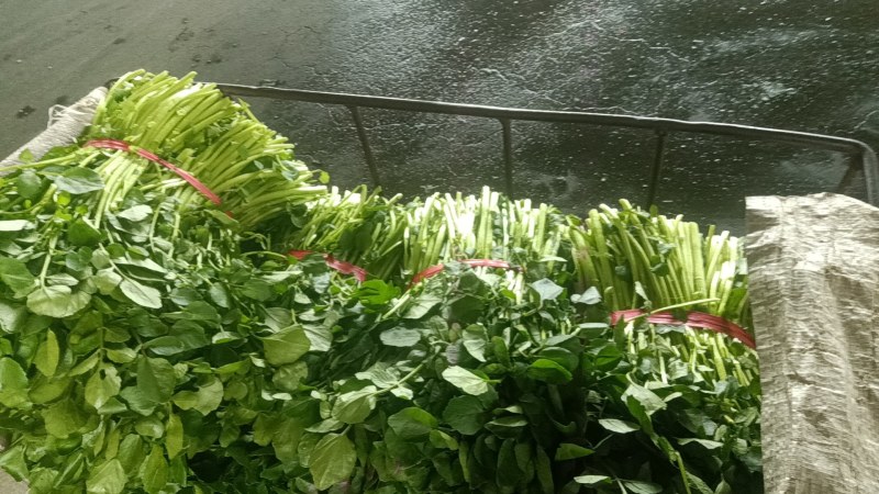 西洋菜