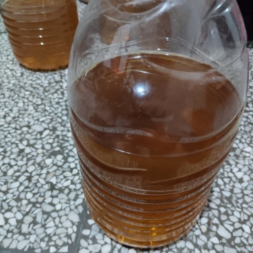 纯正山茶油