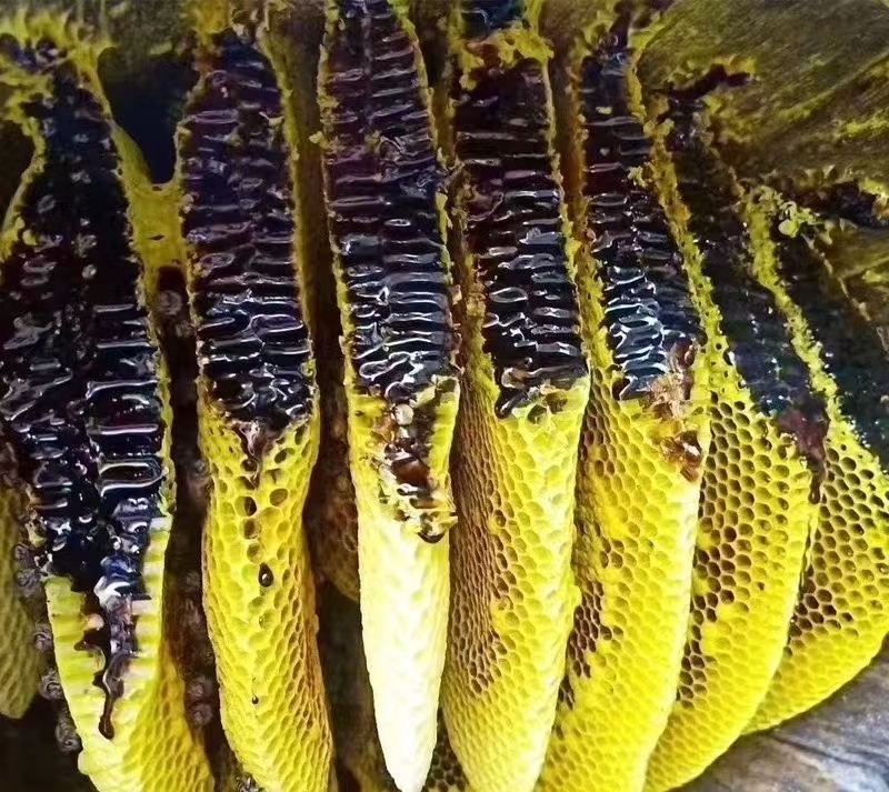 黑蜂蜜