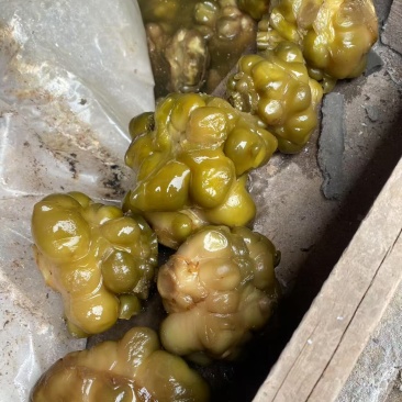 盐榨菜块