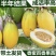香蜜百香果嫁接苗品质保证可发全国视频看货