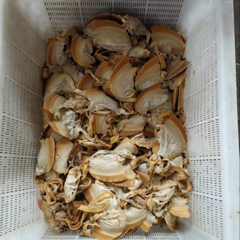 河蚌肉精品批发
