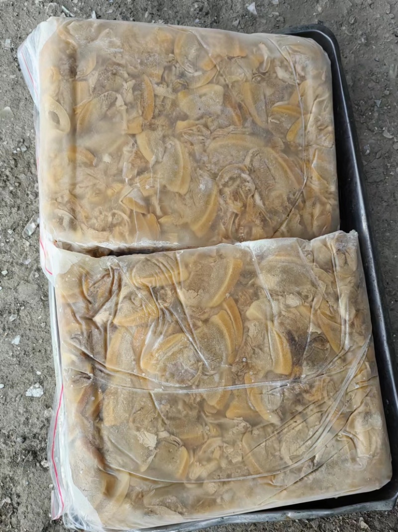 河蚌肉精品批发