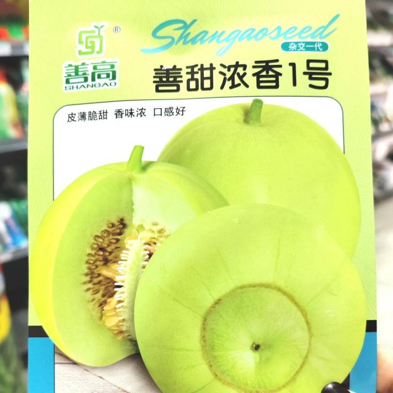 善甜浓香1号杂交一代甜瓜种子甜宝皮薄甜脆香味浓口感好早熟