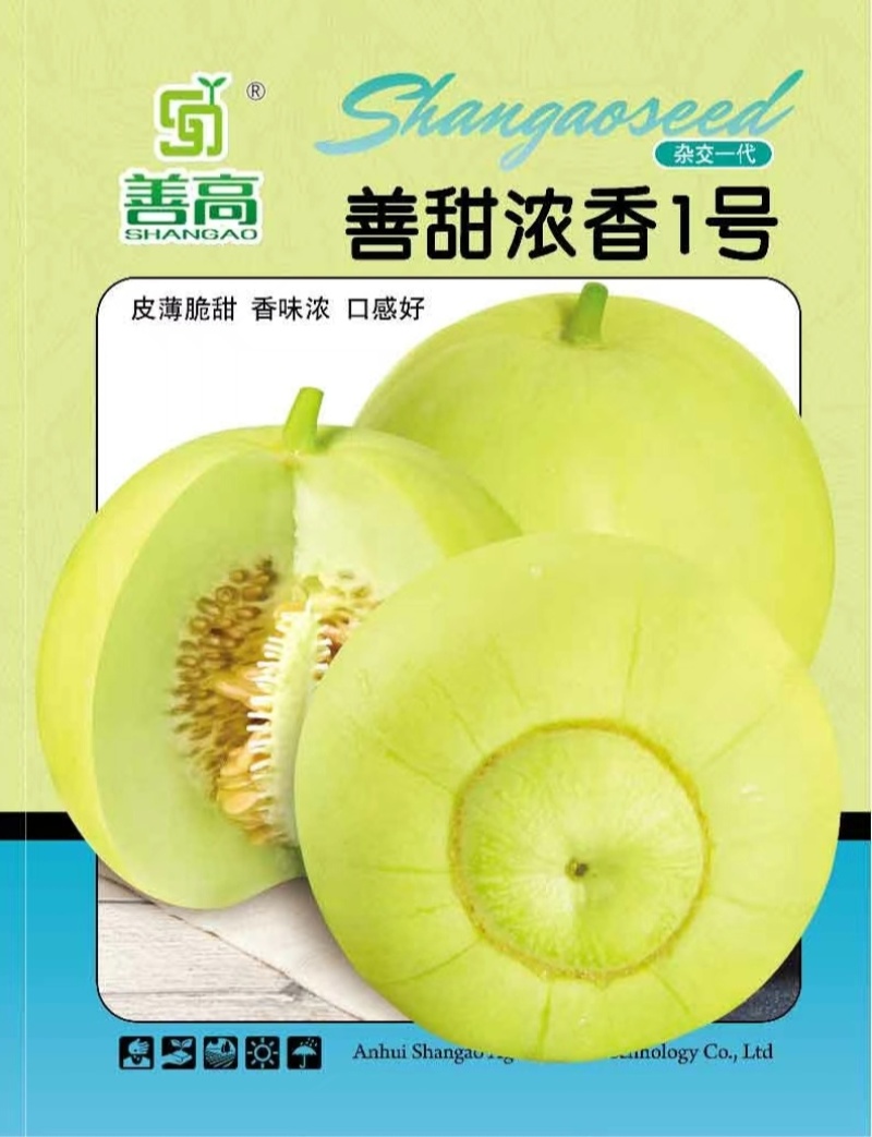 善甜浓香1号杂交一代甜瓜种子甜宝皮薄甜脆香味浓口感好早熟