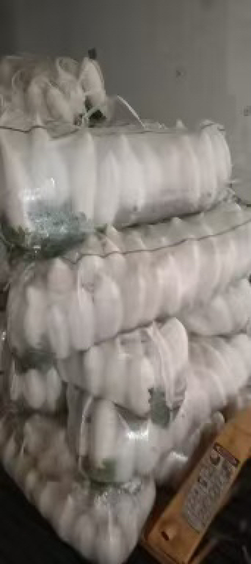 白萝卜.精品白萝卜.湖北白萝卜产地直发一手货源