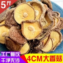 干香菇大片4-7公分