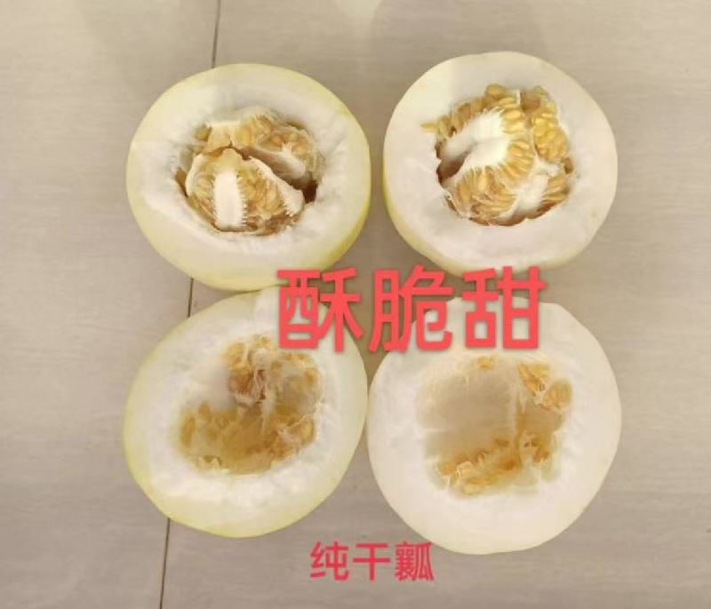 《精选》星甜20，口感甜瓜，支持全国无缝隙发货