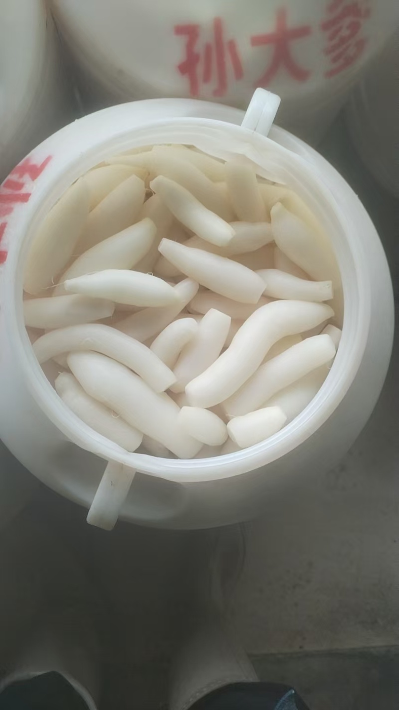 百色珍珠小萝卜腌酸，酸辣开胃承接工厂大量供应
