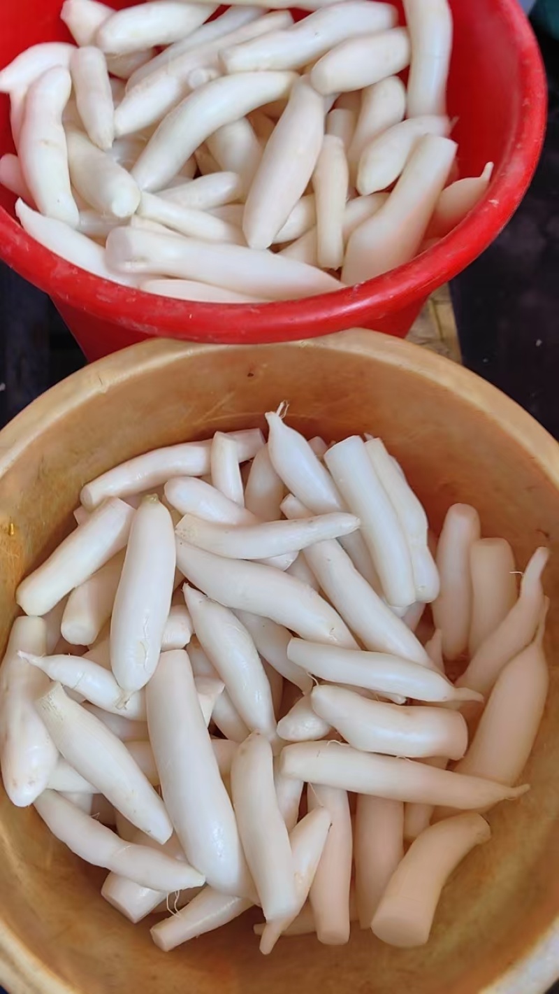 百色珍珠小萝卜腌酸，酸辣开胃承接工厂大量供应