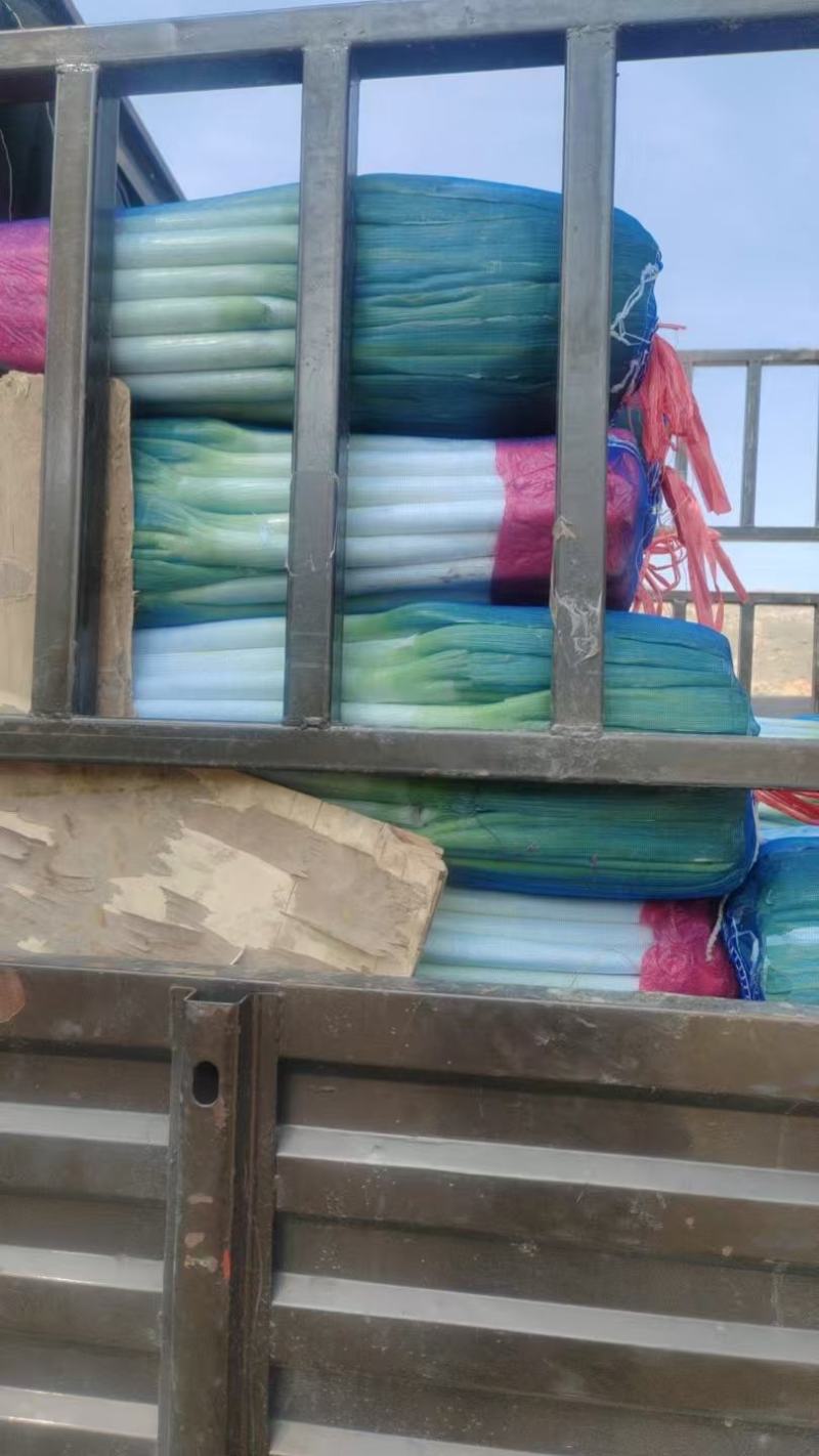 精品铁杆大葱大量供应浙江产地批发，货源充足，量大从优。